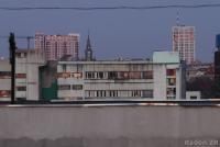 Imagine atasata: 22_0206_4233dpp_s.jpg